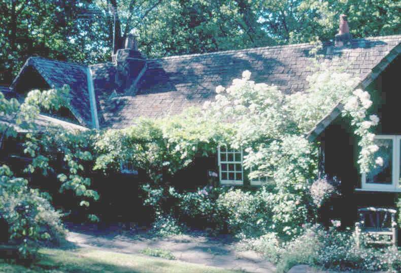 h02053 h2053 bv glencairn in spring