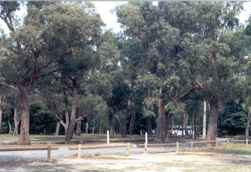 22471 Zerbes Reserve - Blackburn Road, Doncaster East (1)