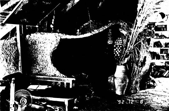 58 - Leon Saper Residence 60 Dunmoochin Rd_11 - Shire of Eltham Heritage Study 1992