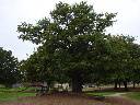 99209