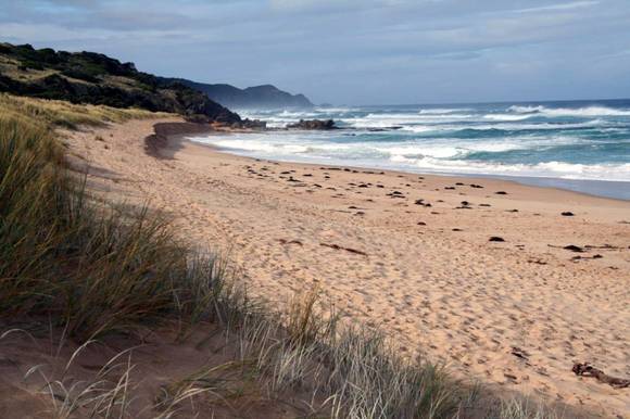 L10177 Great Otway National Park