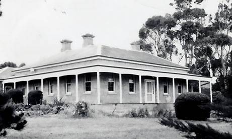 B1885 Glen Loeman Bulla