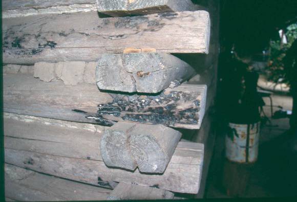 H01987 log cottage poowong corner detail 2001