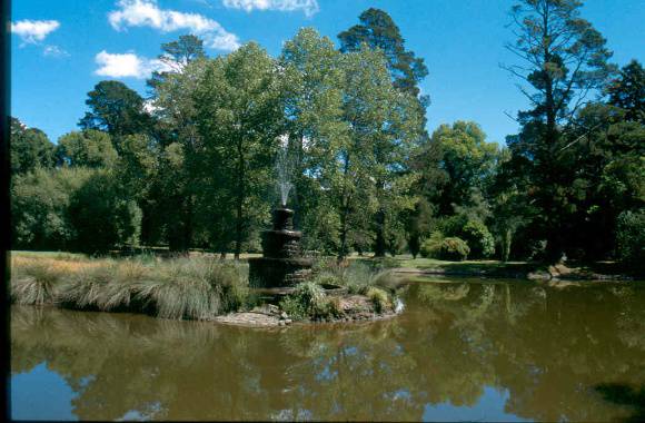H01993 malmsbury botanic gardens lake