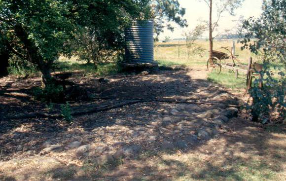 H01984 insitu horseworks kyneton4