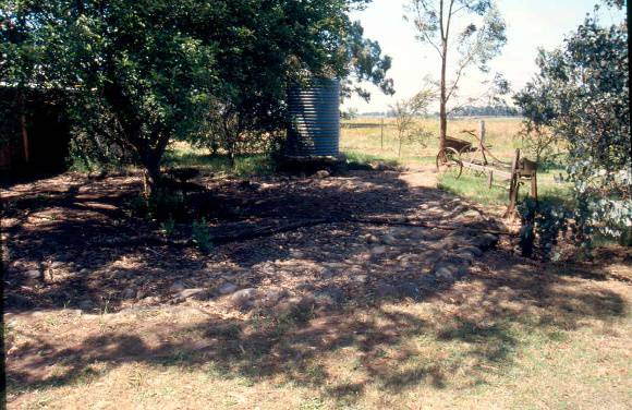 H01984 insitu horseworks kyneton3