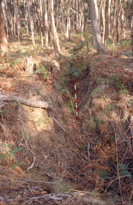 H02018 kozminskys mill and log chute mill site
