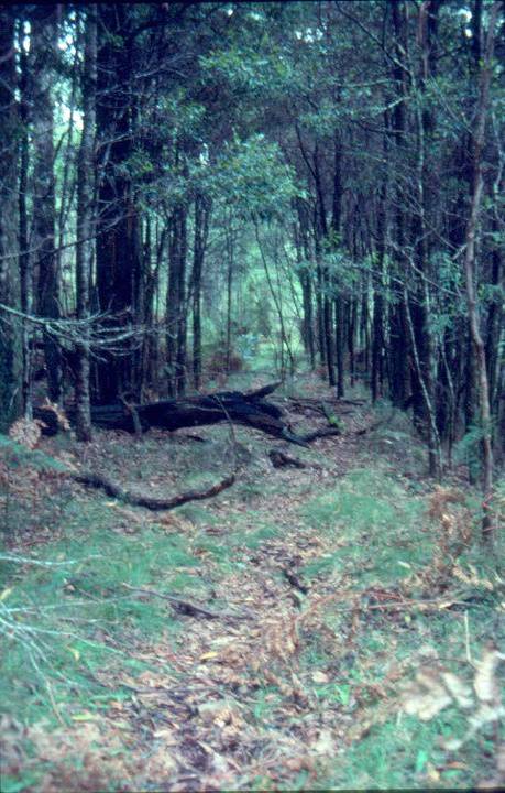 H02022 barbours log chute