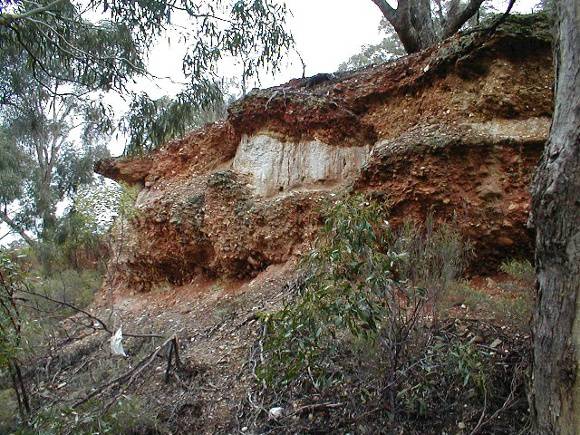h02047 castlemaine diggings false bottom july02 db