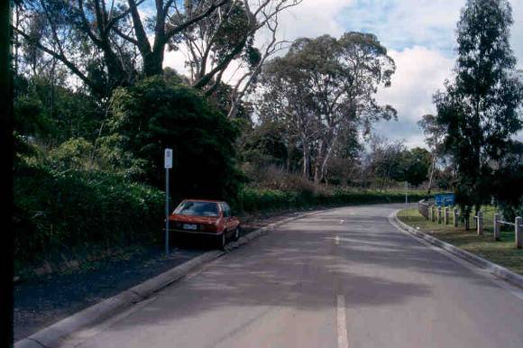 h02052 burnely gardens south boundary 2 sept 2003