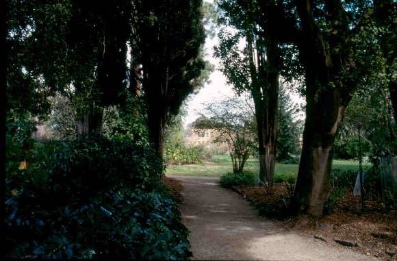h02052 burnley gardens glimpse of admin bldg sept 03