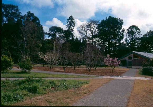 h02052 burnley gardens view from field station to ornamental gdns sept 03