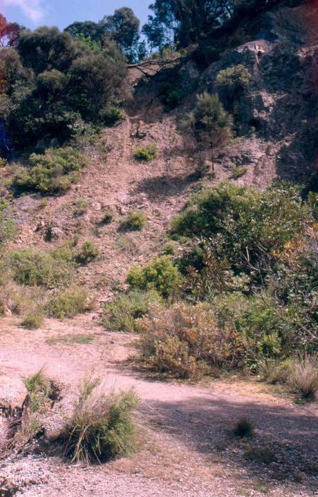 h02043 walkerville quarry 2003