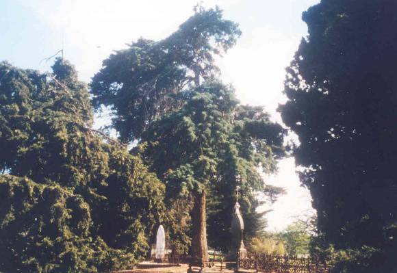 h02059 hopetoun cemetry 02 1103