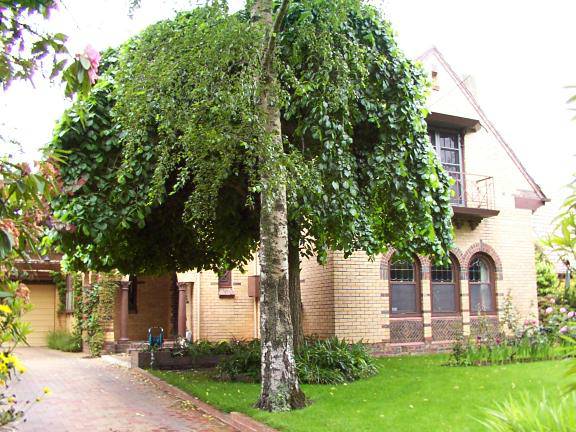 5 Russell Street