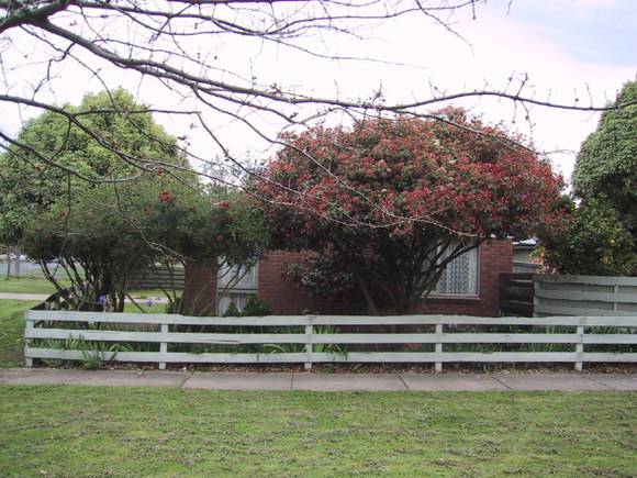 520 Ripon Street South