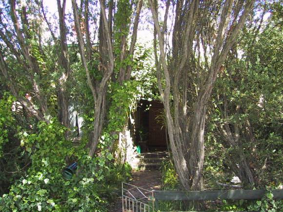 306 Drummond Street South