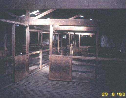 h00324 kolor woolshed penshurst warrnambool road penshurst inside shed she project 2003