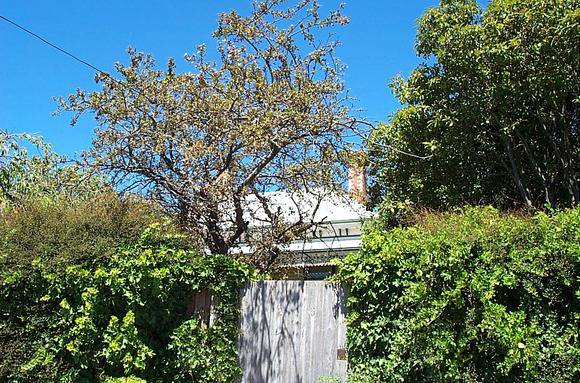 205 Gregory Street
