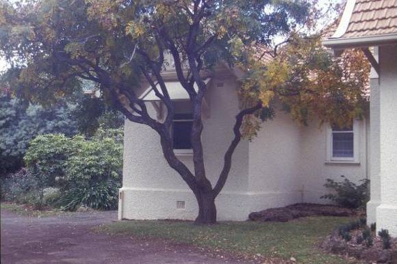 h01178 myrniong cnr kent and macarthur st hamilton rear roof line she project 2003