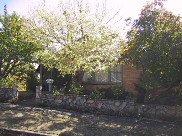 12 Macarthur Street