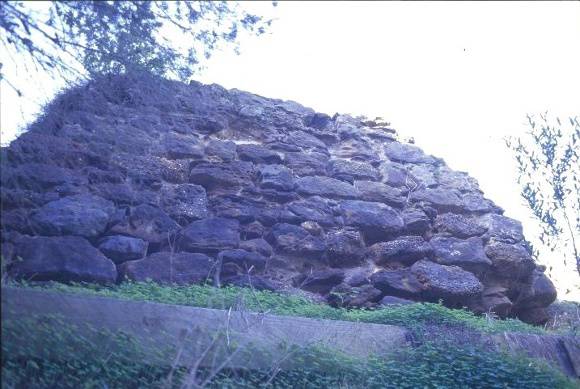 h00389 portarlington mill turner crt portarlington remains of rear boiler house she project 2003