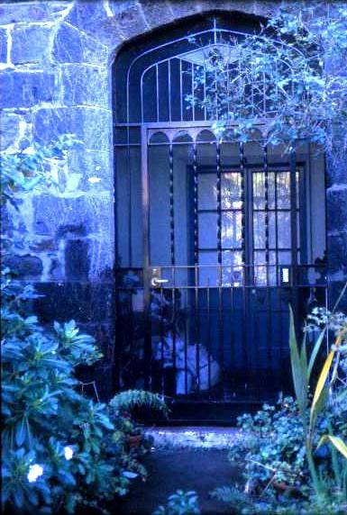 h00457 the hawthorns creswick st hawthorn front door 