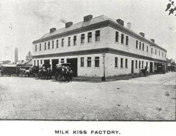 Image from Collingwood and Fitzroy illustrated Directory and Handbook, 1905