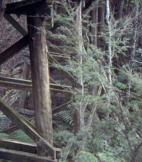 h01995 timber bridge bloomfield road crossover underneath she project 2003