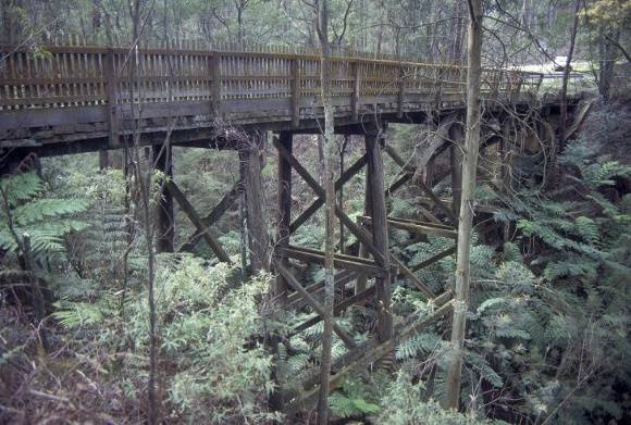 h01995 1 timber bridge bloomfield road crossover bridge she project 2003