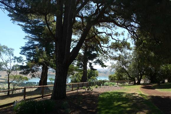 4374_Camperdown Botanic Gardens