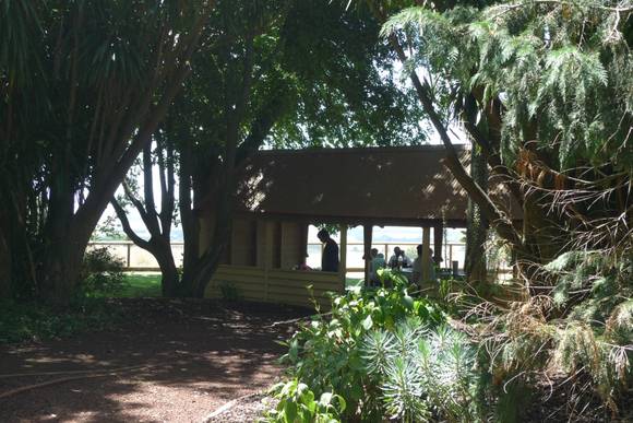 4374_Camperdown Botanic Gardens