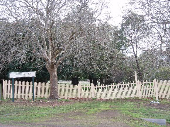 4374_Camperdown Botanic Gardens