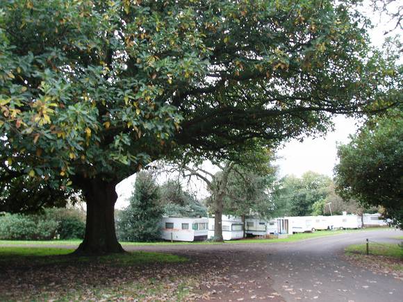 4374_Camperdown Botanic Gardens