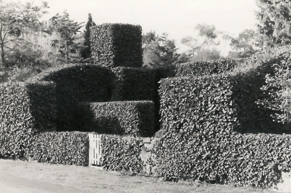 B2848 Mt Elephant Ruins of Original Homestead