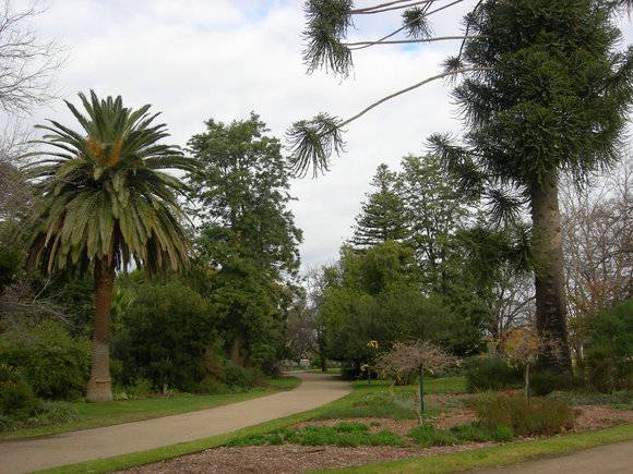 1772_Benalla_Botanic_gardens_2010_July_2_HV_0121.jpg
