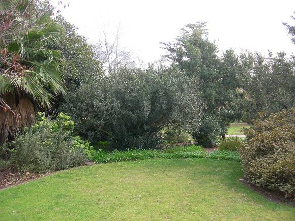 1772_Benalla_Botanic_gardens_2010_July_2_HV_0121.jpg