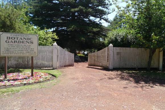 4374_Camperdown Botanic Gardens