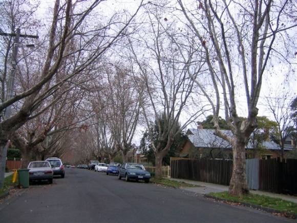 Broomfield Avenue Precinct 2.JPG