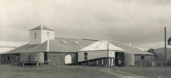 B3030 Woolshed Mt William Homestead Willaura