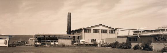 B6075 Archie's Creek Dairy Produce Co