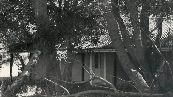 B2243 Peck's Place 