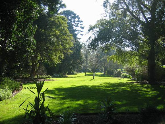 H2095 Geelong Bot Gardens 8.2005