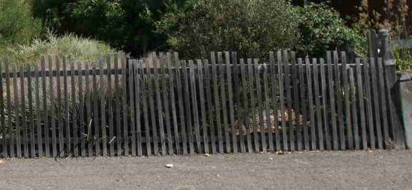Fence - 123-125 Arnold Street