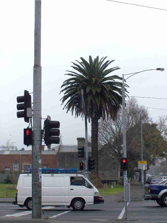 Carlton North Nicholson Street 305-321 v2.JPG