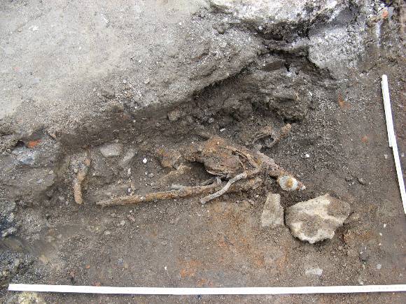 Weapons deposit (guns, bayonet, manacles, ammunition) exposed during testing under Consent C732