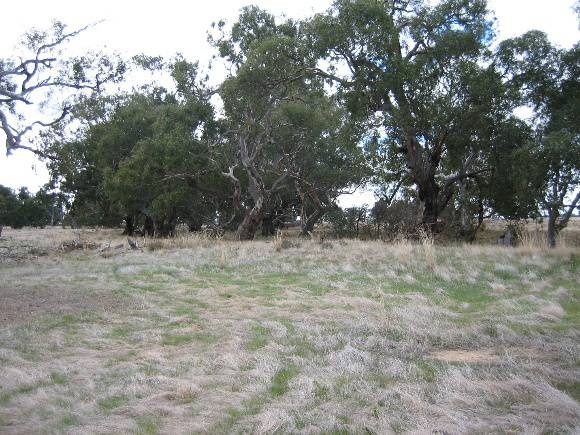 2063 Colbinabbin Homestead Site of Former Woolscour June 2006 mz 