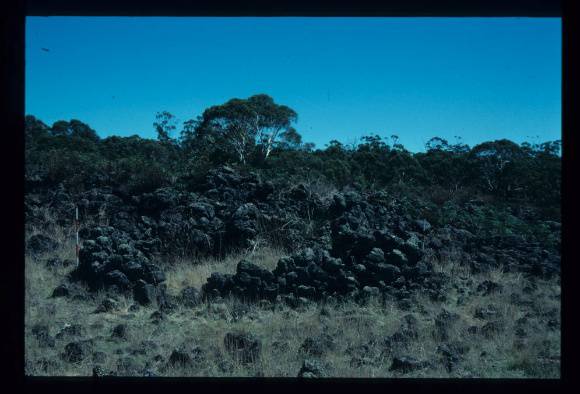LAKE CONDAH - COMPLEX A