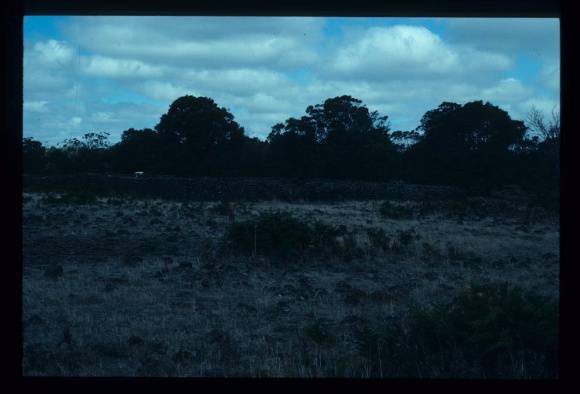 LAKE CONDAH - COMPLEX E