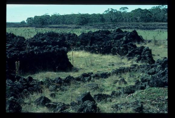 LAKE CONDAH - COMPLEX G